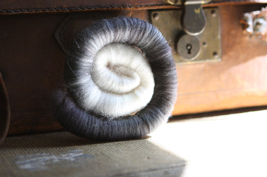 INTRO to SPINDLING - How to Drop Spindle a Rolag