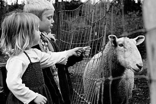 Shopping for Wool (Craftsy Blog)