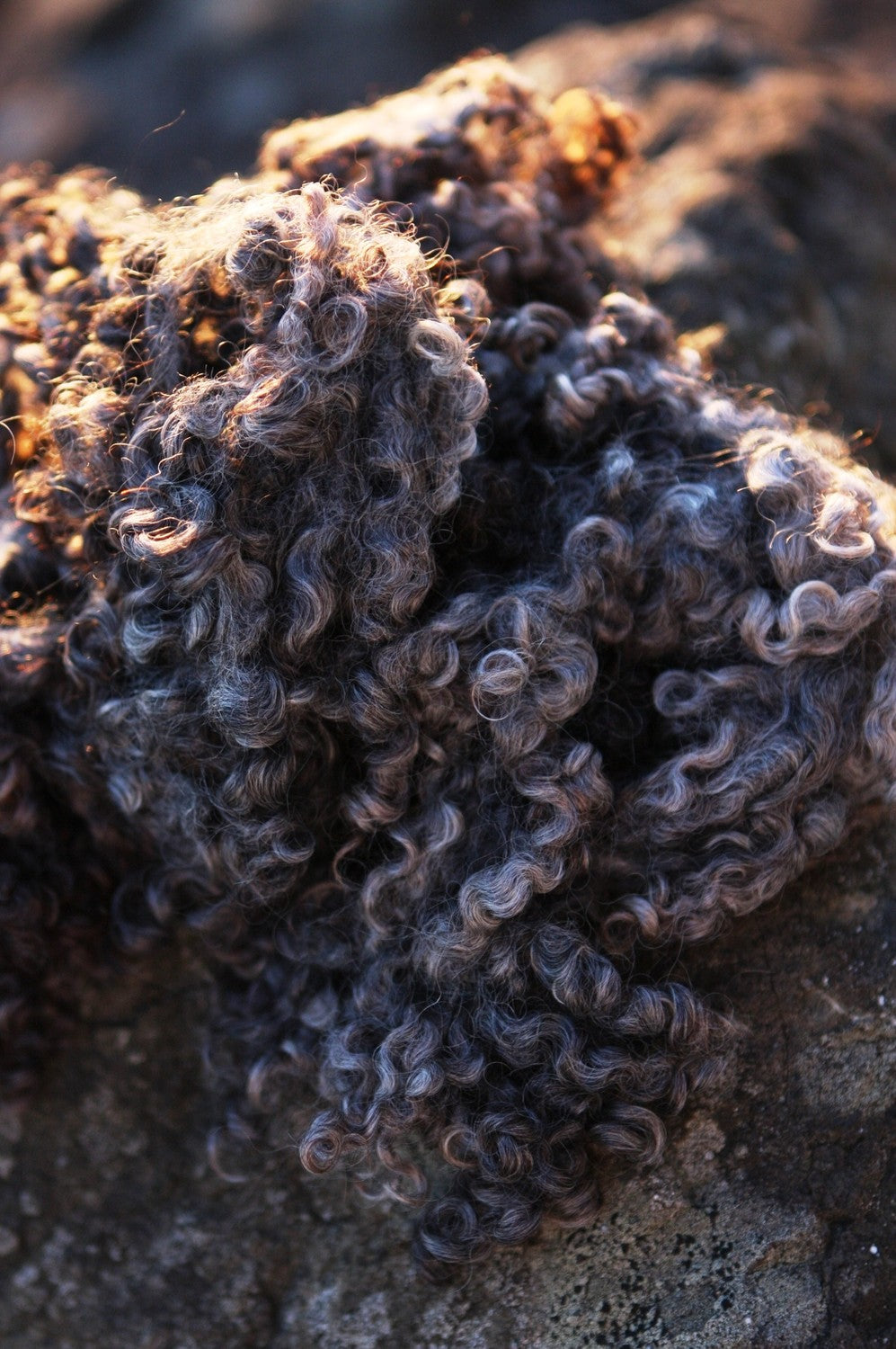 About Longwool (Craftsy Blog)