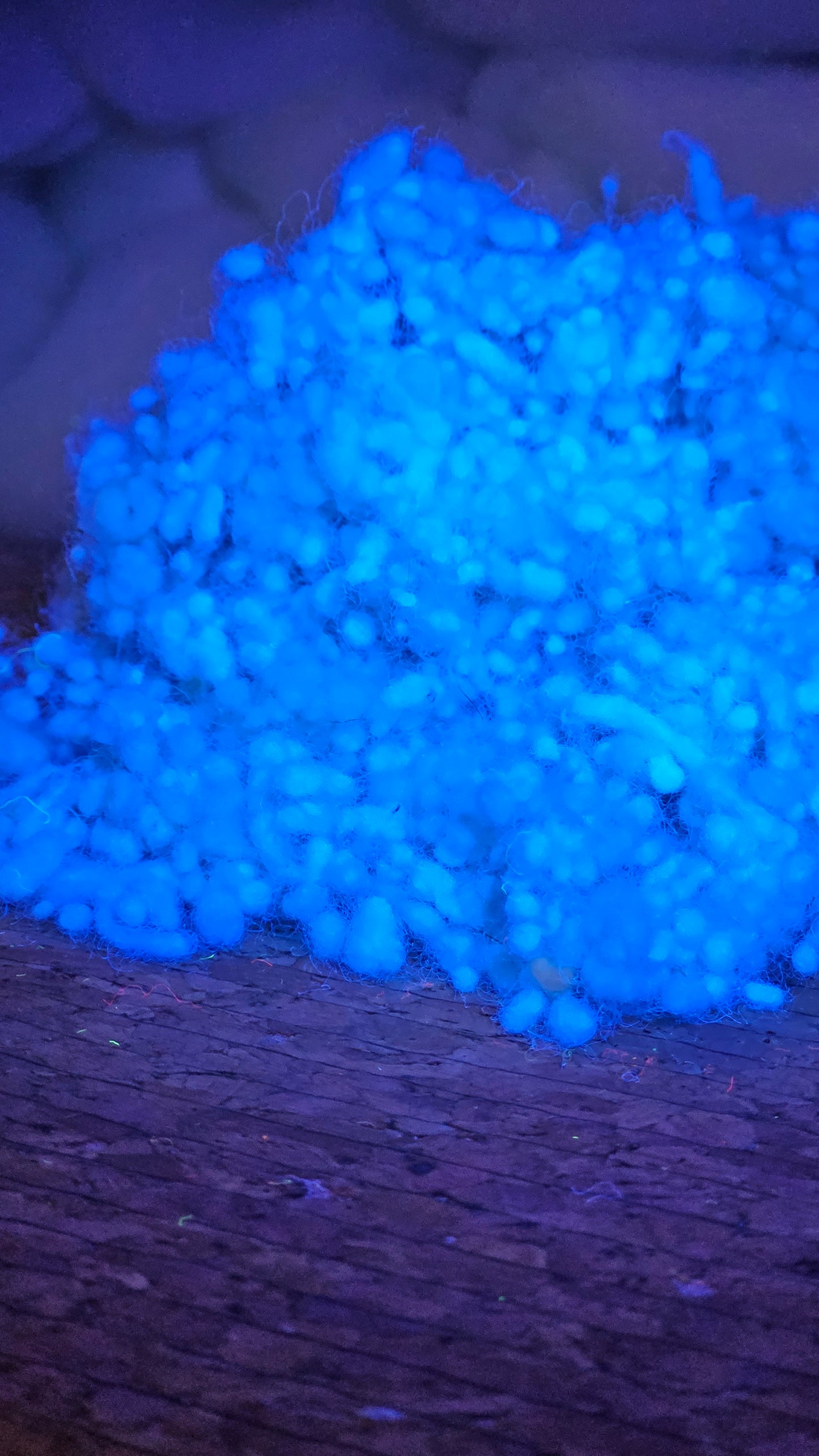 BLUE GLOW Dyed Fine Wool Nepps - 1 oz