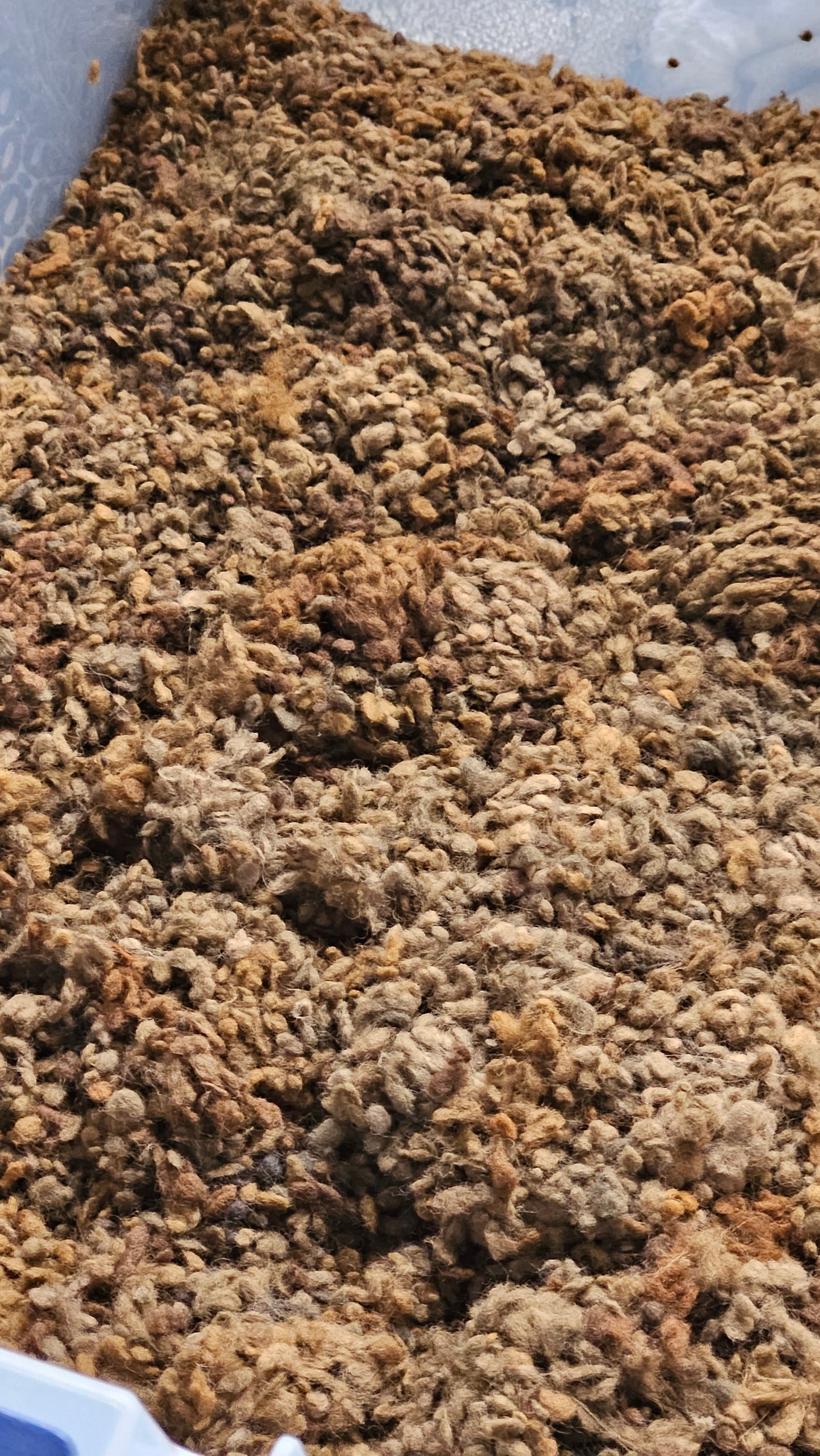 CINNAMON Dyed Cotton Nepps - 1 ounce