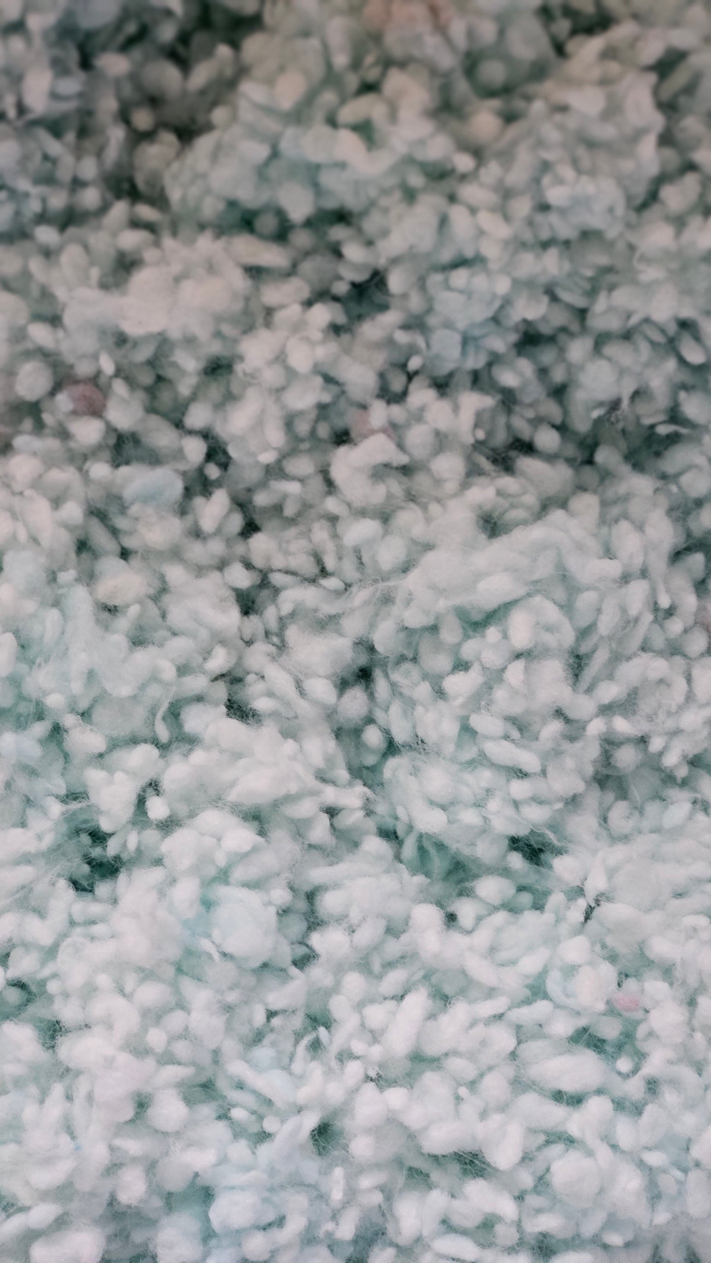 BABY'S BREATH Dyed Cotton Nepps - 1 ounce