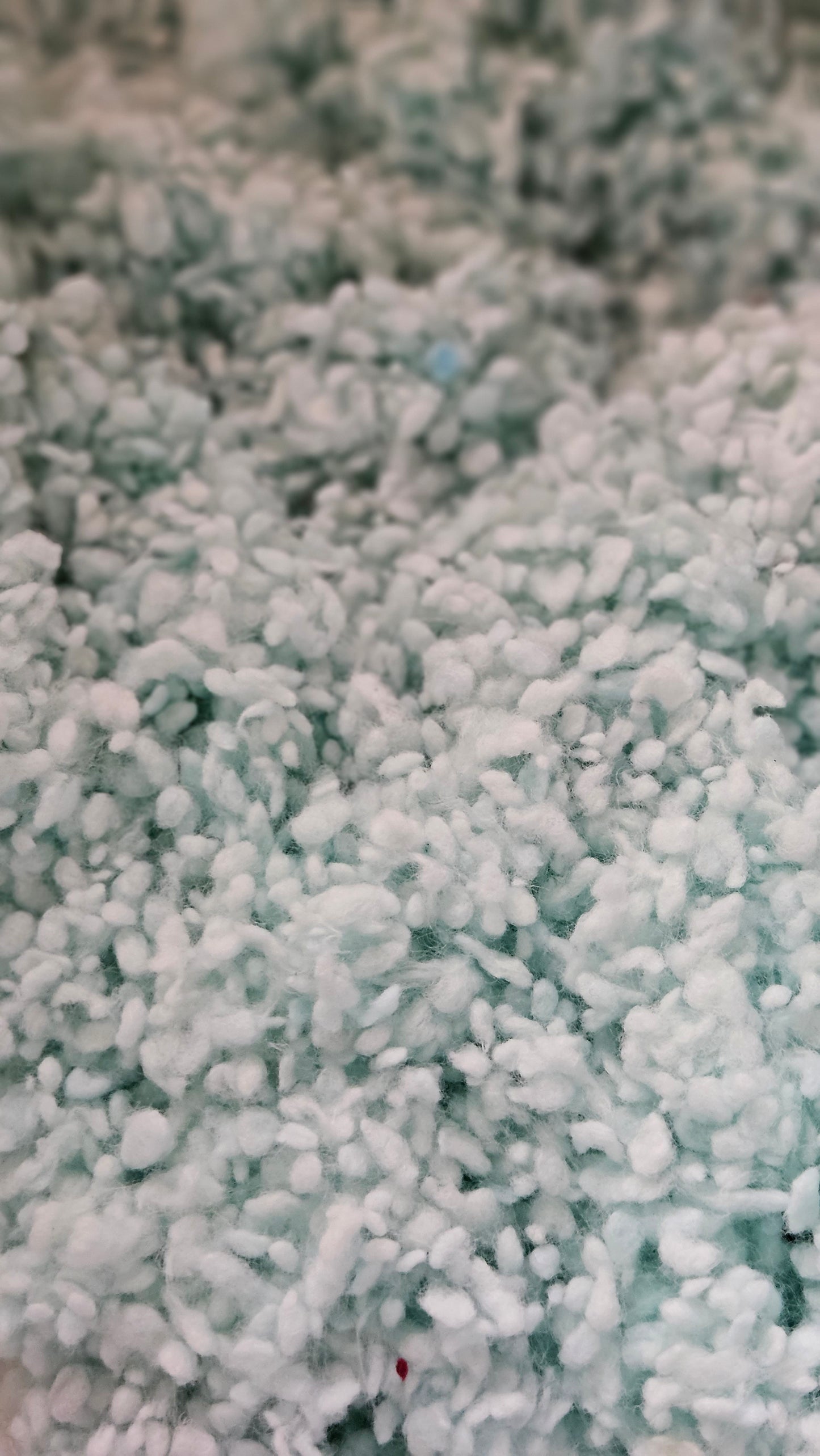 BABY'S BREATH Dyed Cotton Nepps - 1 ounce