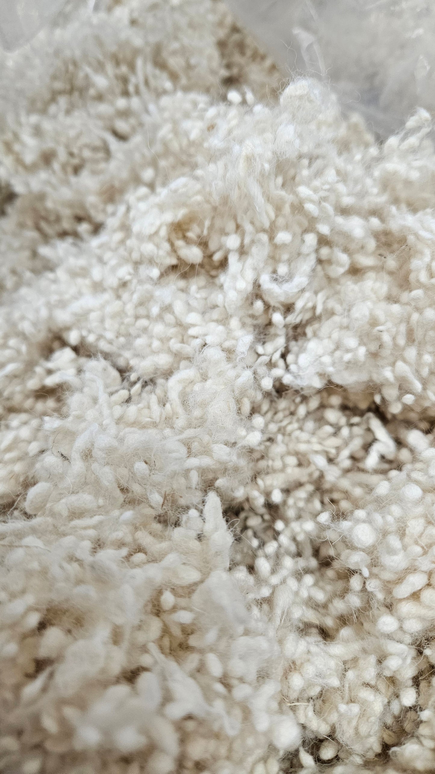 NATURAL NEPPS - undyed fine wool effects texture for blending and felting - 4 oz | 113 g