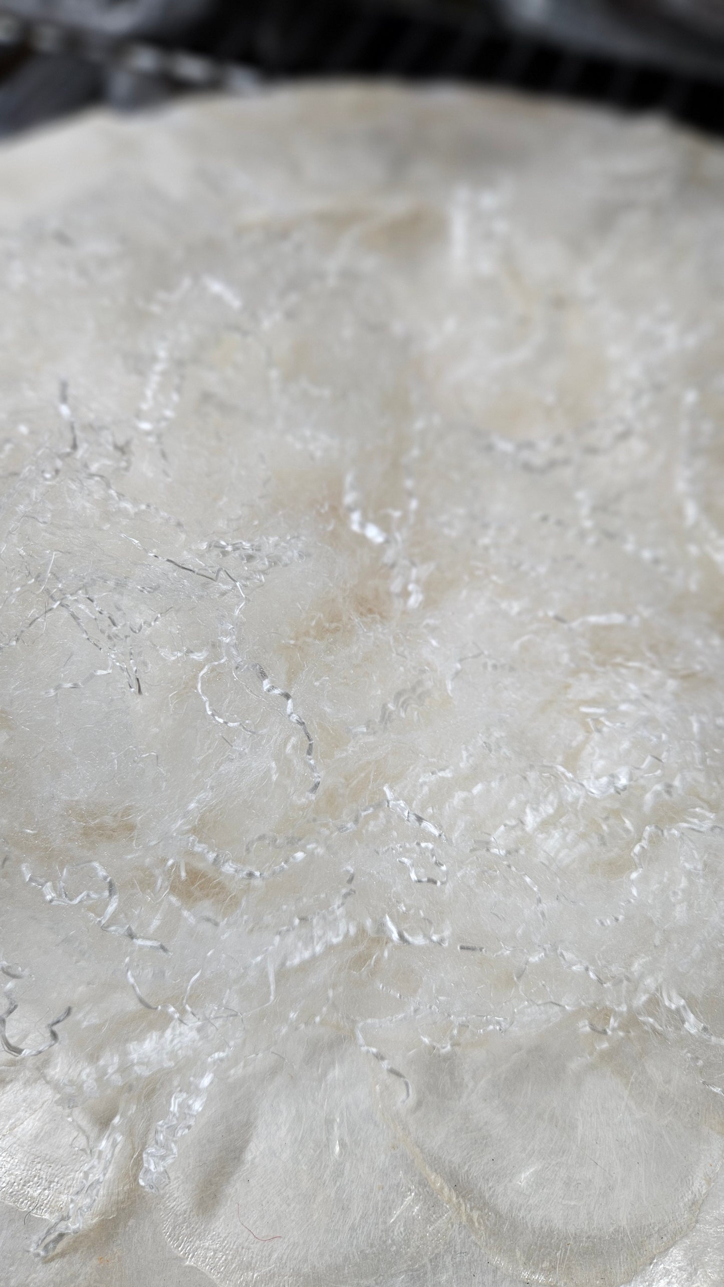 PEARL WHITE - undyed eucalyptus crimp fauxsilk effects texture for spinning, fiber blending, felting, and papermaking - 24 oz | 680 g