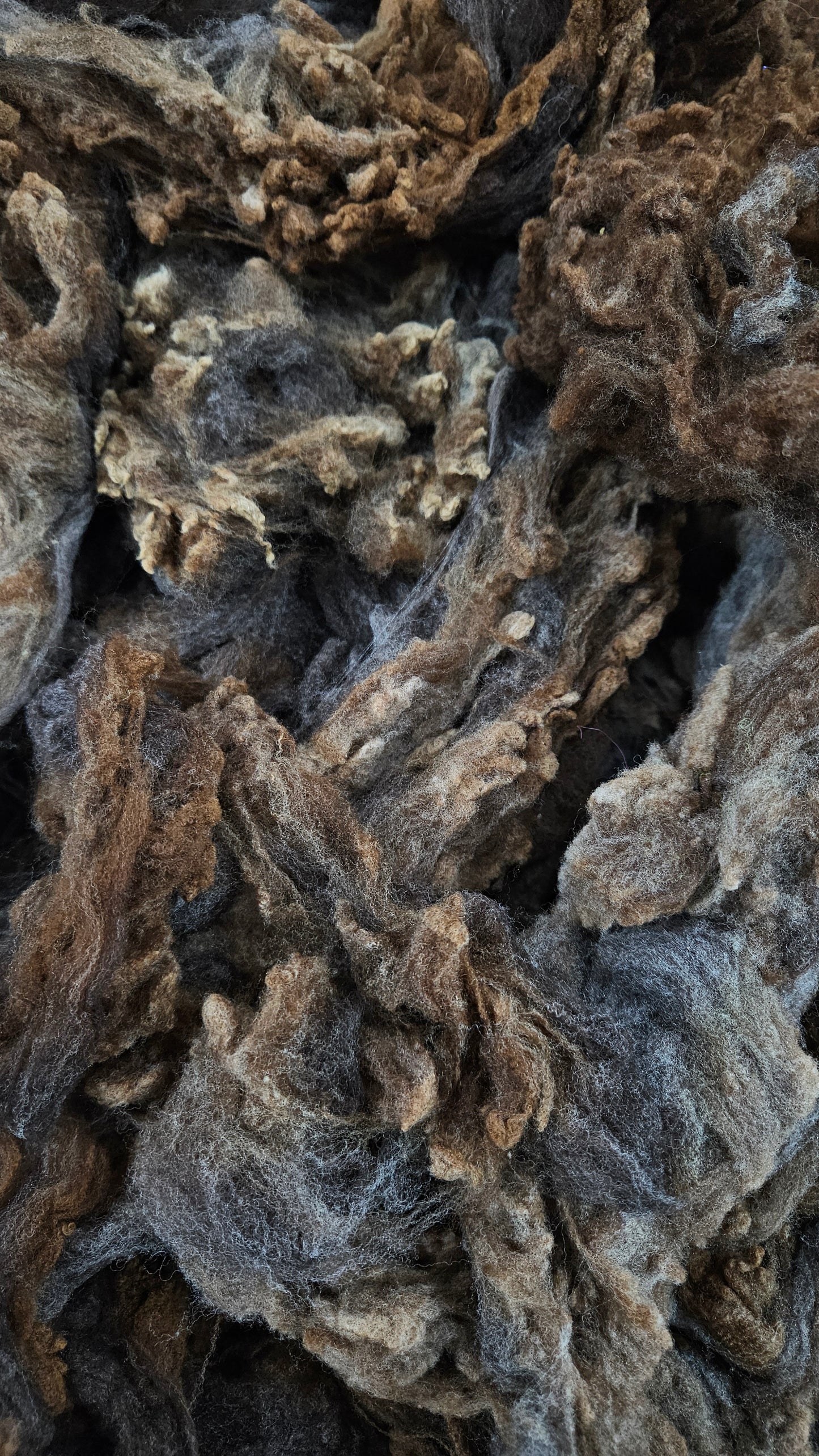 MORRIT RAMBOUILLET - gently washed fine wool French Merino fleece for blending and felting - 4 oz | 113 g