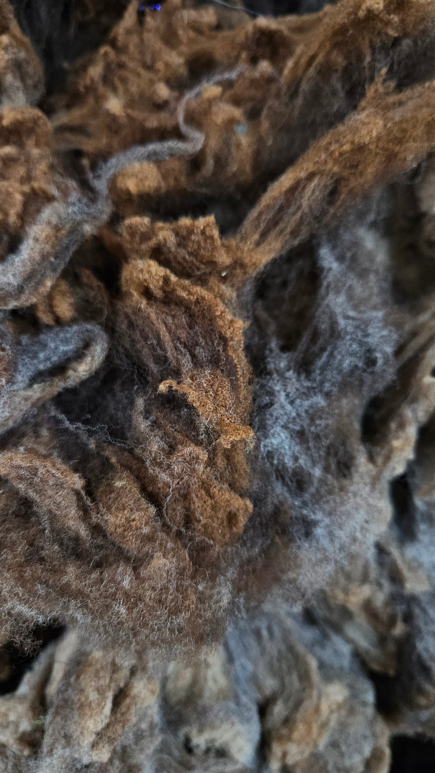 MORRIT RAMBOUILLET - gently washed fine wool French Merino fleece for blending and felting - 4 oz | 113 g