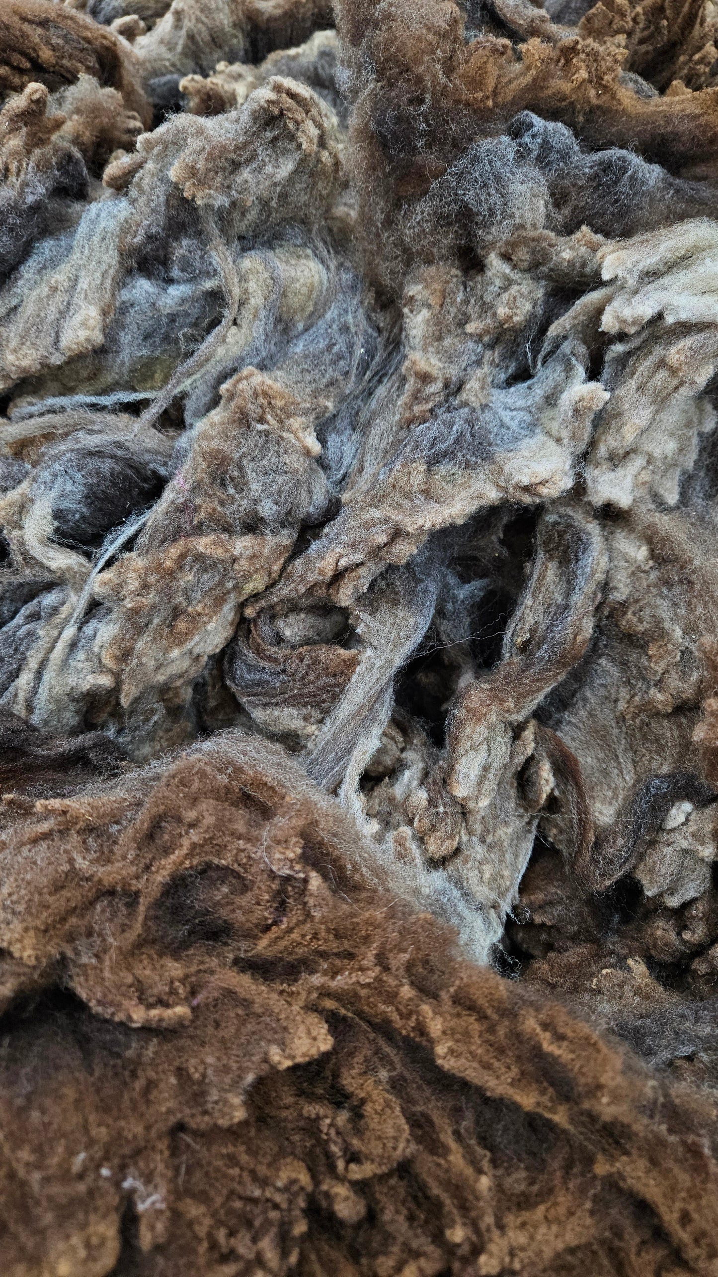 MORRIT RAMBOUILLET - gently washed fine wool French Merino fleece for blending and felting - 4 oz | 113 g