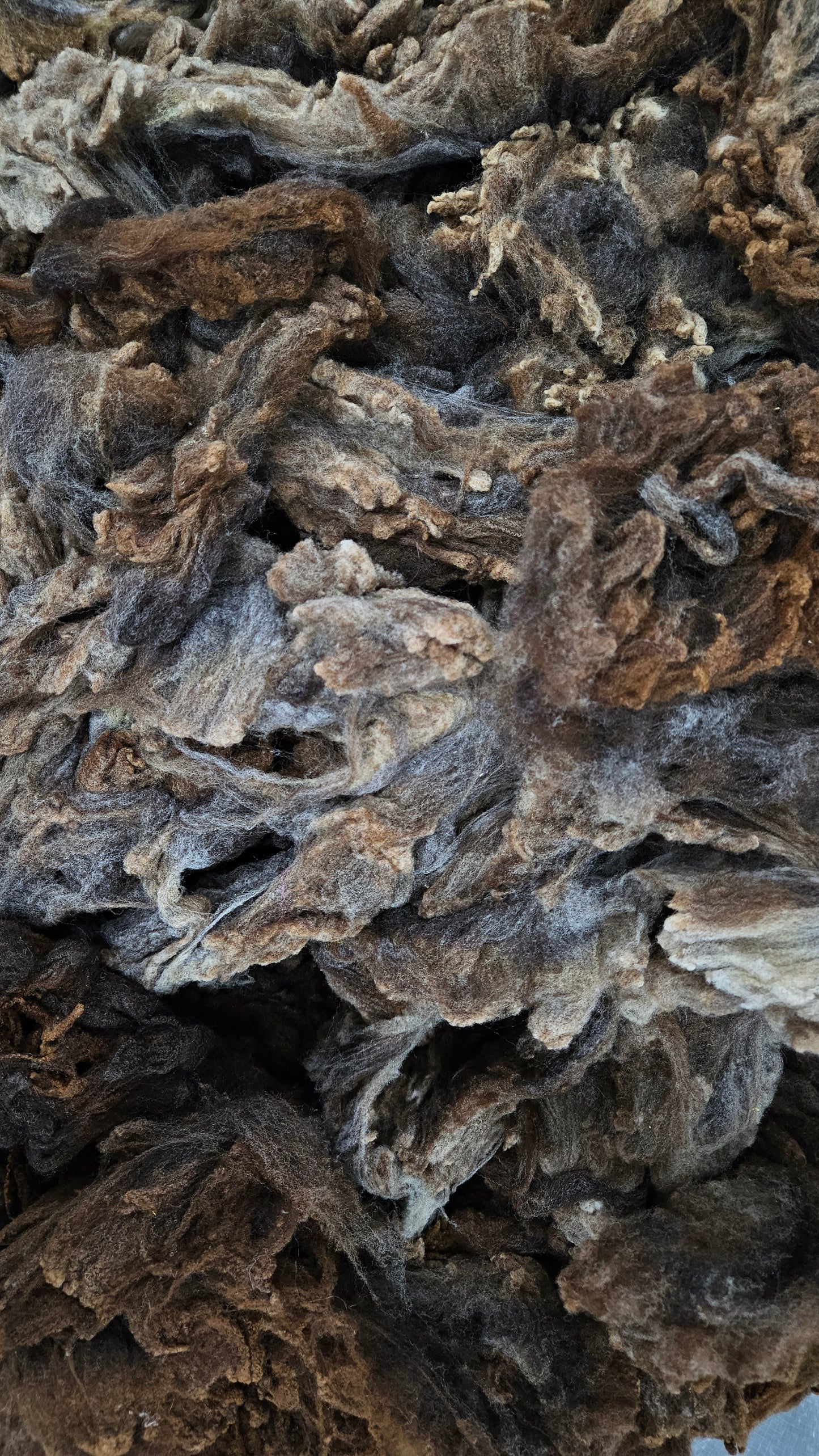 MORRIT RAMBOUILLET - gently washed fine wool French Merino fleece for blending and felting - 4 oz | 113 g