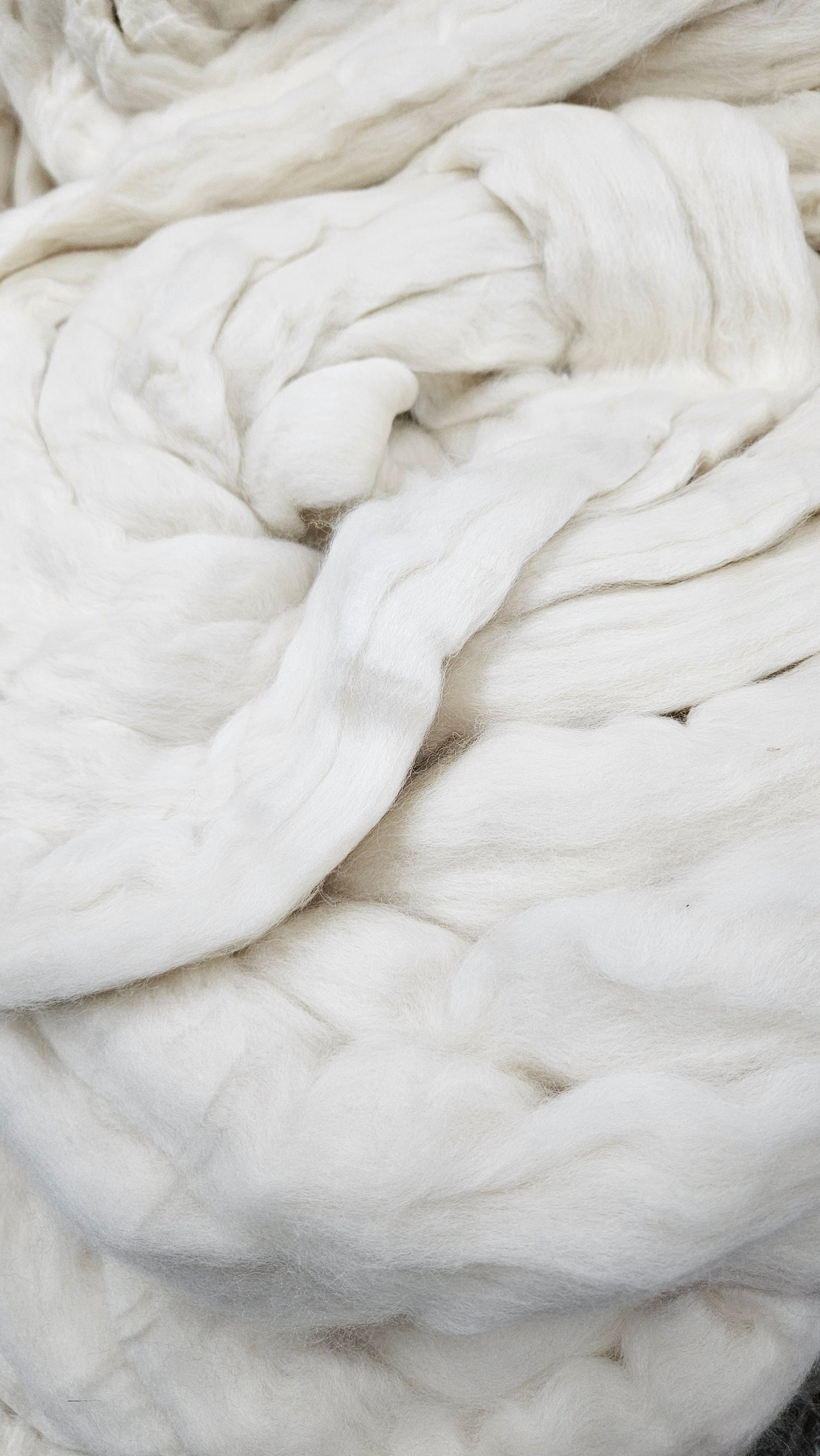 ORGANIC MERINO - undyed natural wool top for spinning, blending and felting - 6 oz | 170 g