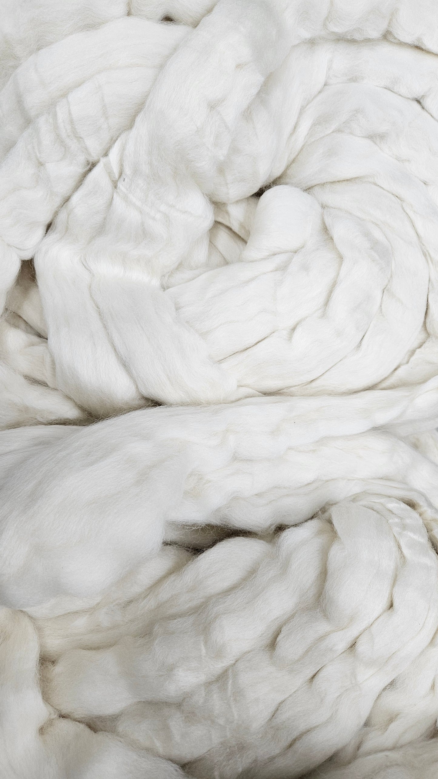 ORGANIC MERINO - undyed natural wool top for spinning, blending and felting - 6 oz | 170 g
