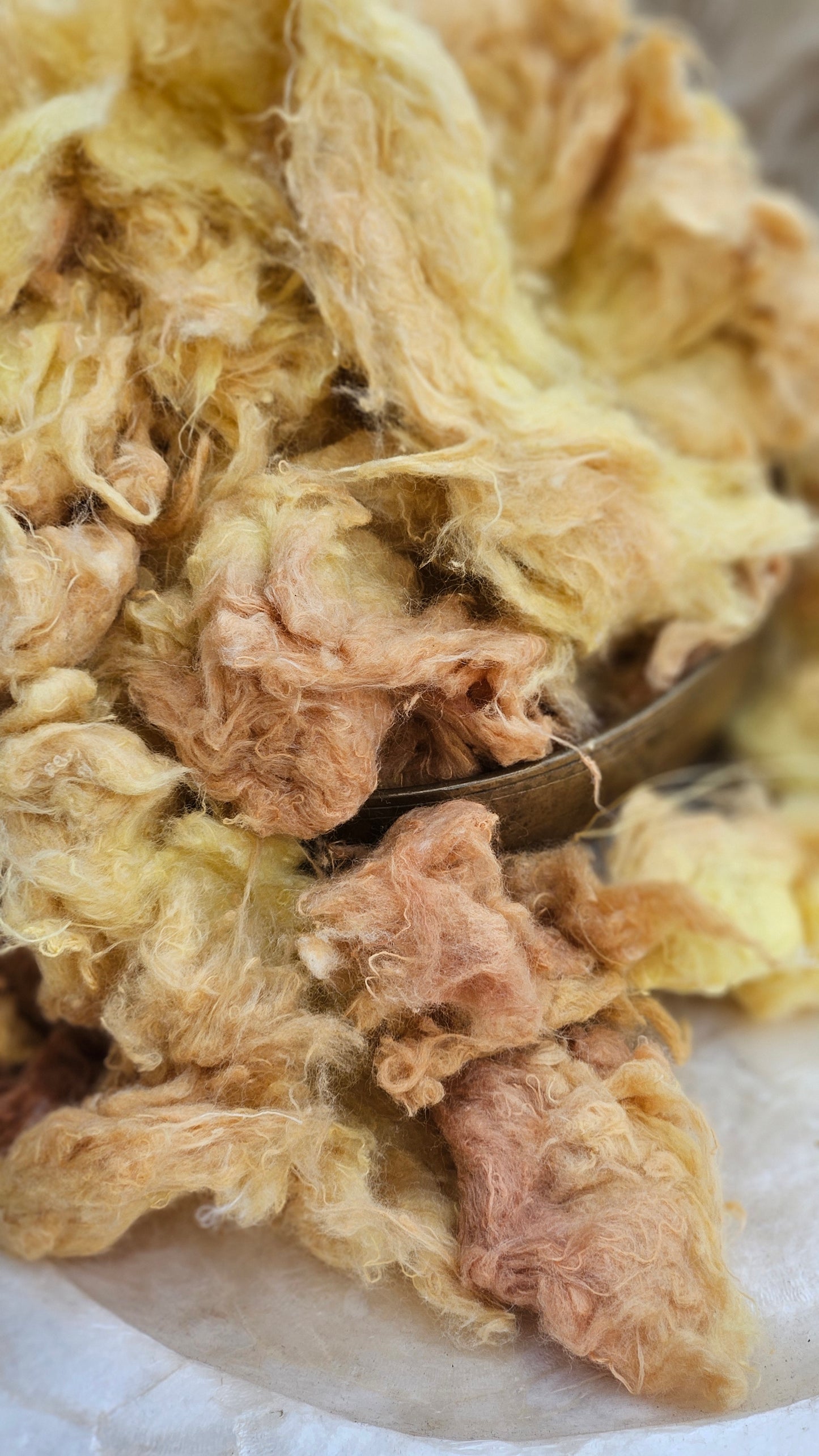 WHEAT - hand-dyed recycled cotton noil "feathers" effects texture for blending, felting, and papermaking - 2.5 oz | 71 g