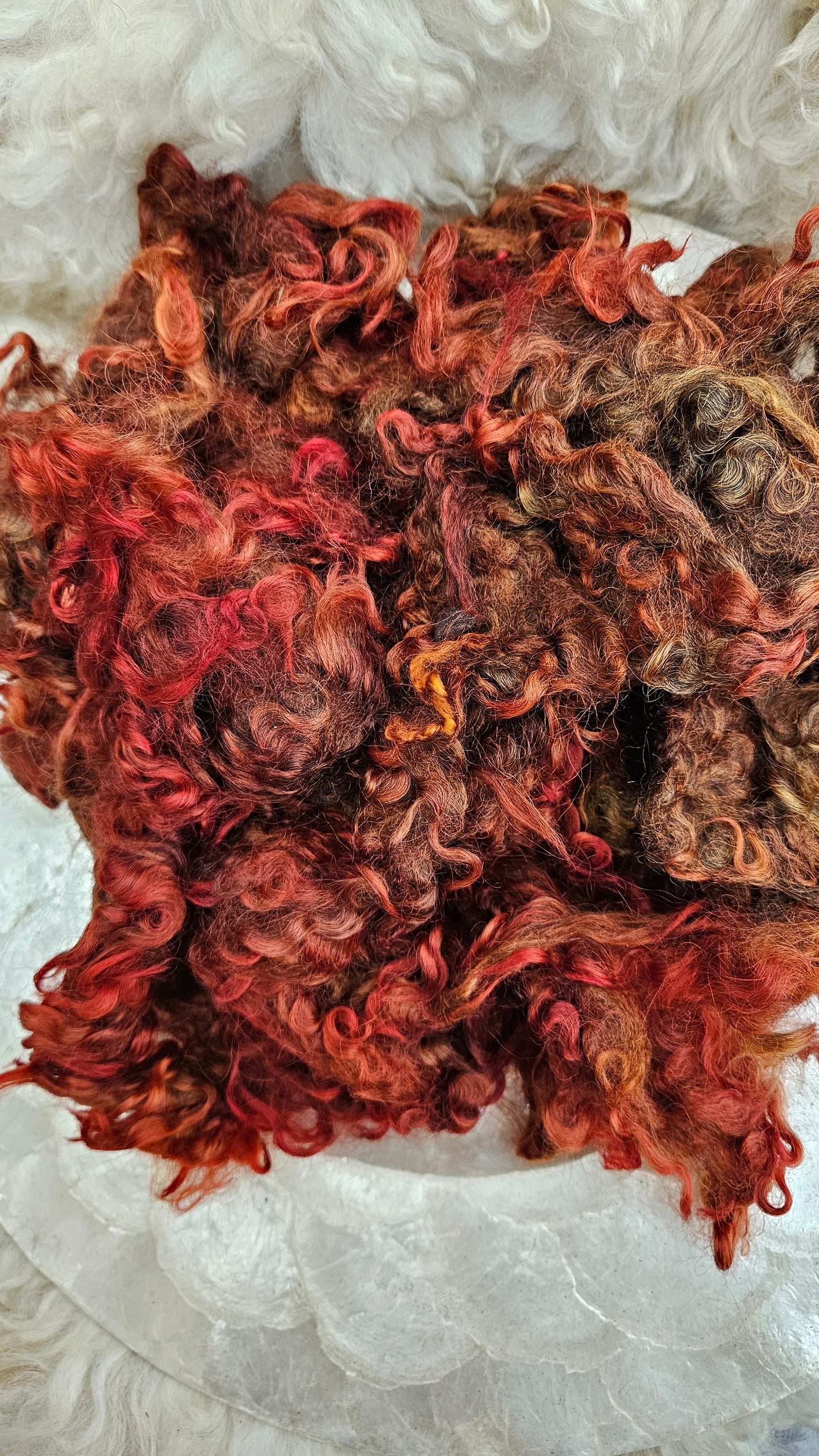 TOLSTOY - hand-dyed Cotswold lamb longwool locks (SE2SE Livestock Conservancy Breed) - 5 oz | 142 g