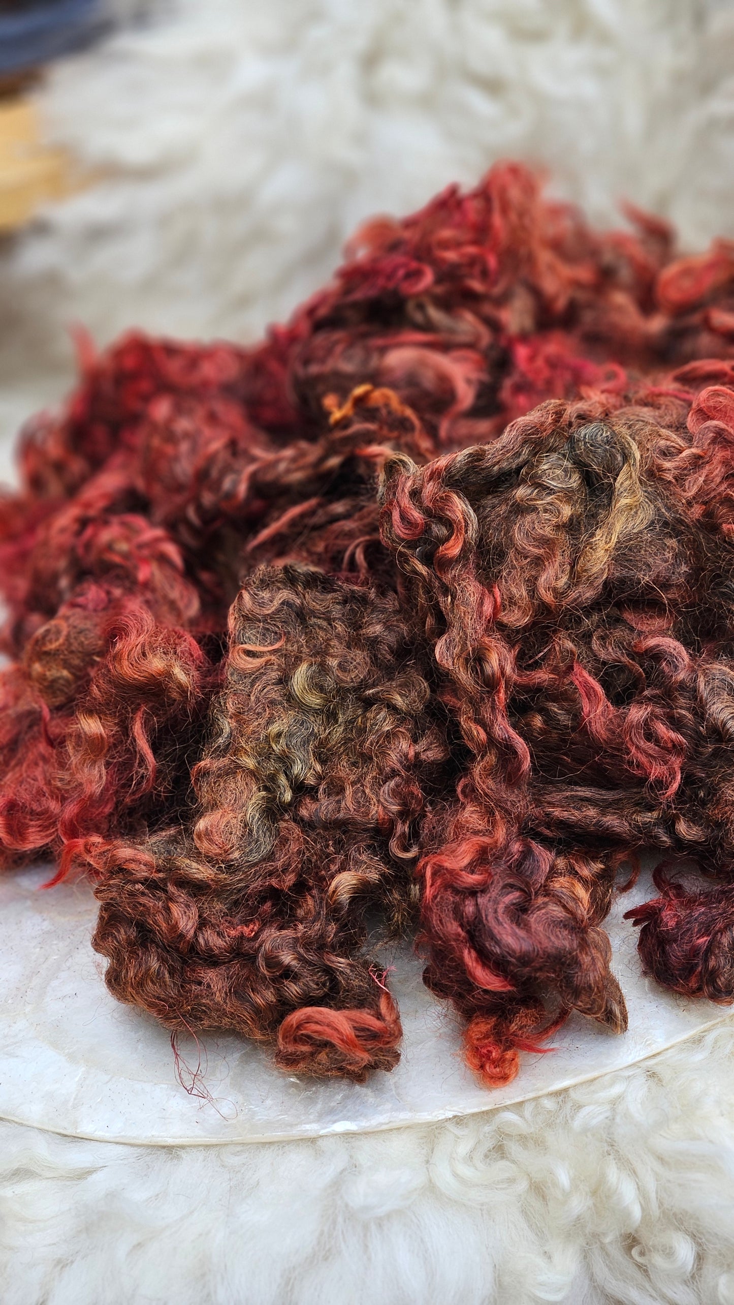 TOLSTOY - hand-dyed Cotswold lamb longwool locks (SE2SE Livestock Conservancy Breed) - 5 oz | 142 g