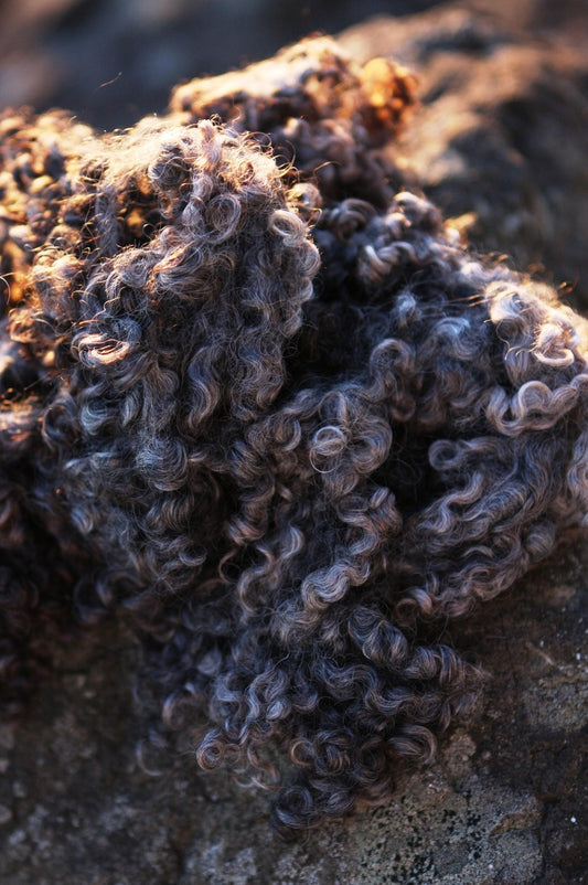 About Longwool (Craftsy Blog)