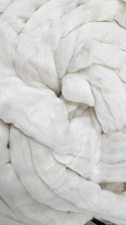 ORGANIC MERINO Natural Wool Top Beginner Spinning Felting Carding Dyeing - 6 ounces