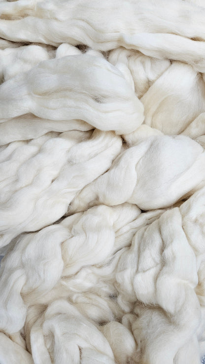 BLUE FACED LEICESTER (BFL) - undyed natural wool top for spinning, blending and felting - 6 oz | 170 g
