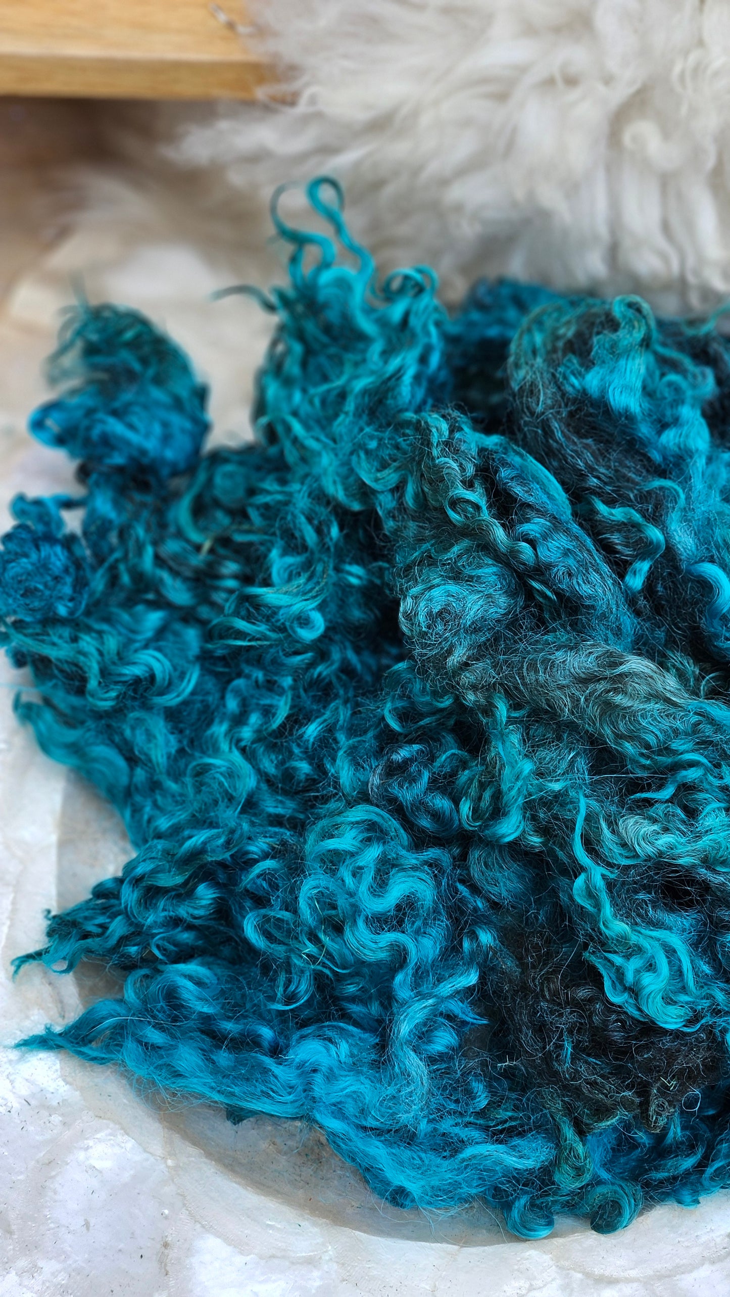 KEATS - hand-dyed Cotswold lamb longwool locks (SE2SE Livestock Conservancy Breed) - 5 oz | 142 g