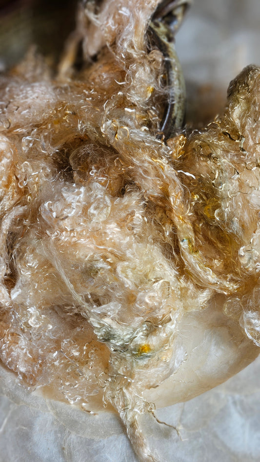 PHOSGENITE - hand-dyed eucalyptus crimp faux-silk for art yarn embellishing, fiber blending, felting, and papermaking - 2 oz | 57 g